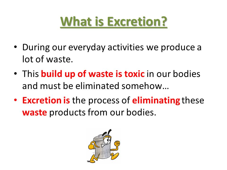 What is deals excretion