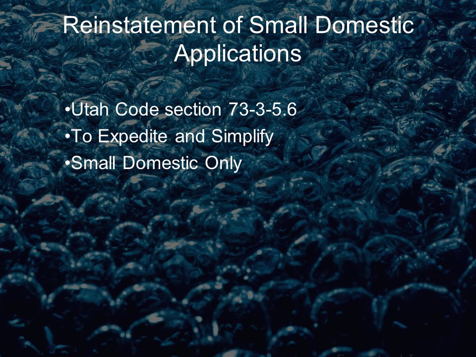 Reinstatement of Small Domestic Applications Utah Code section To Expedite and Simplify Small Domestic Only