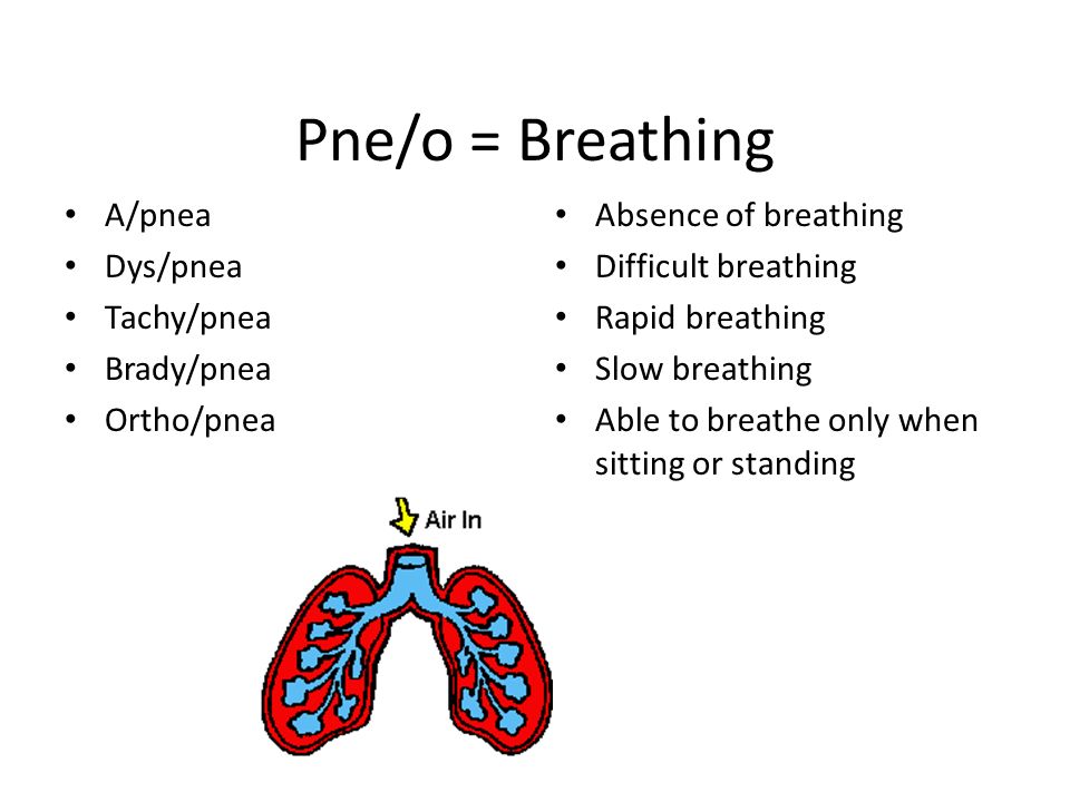 Medical Terminology Respiratory System and Pulmonology. - ppt download