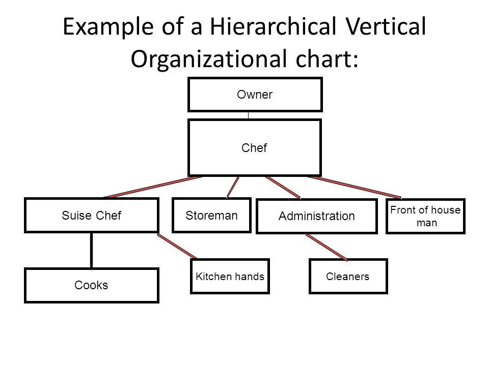 Organization Chart Kitchen