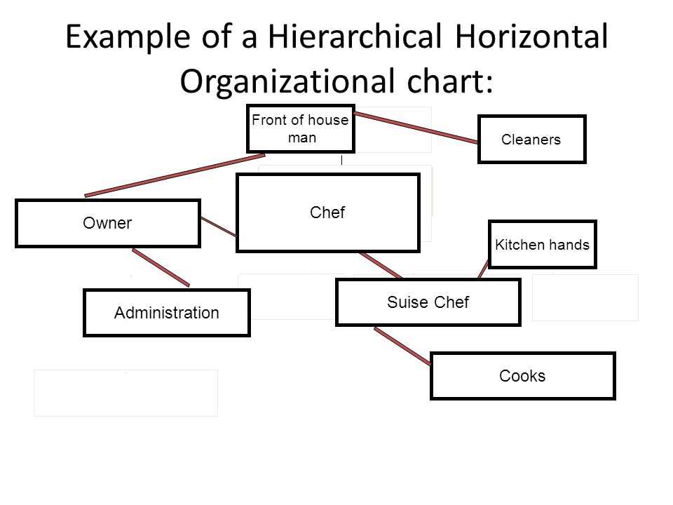 types of organization charts - Togo.wpart.co