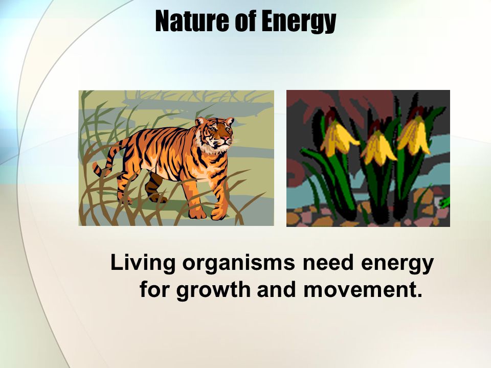 Nature of Energy You use energy when you: hit a softball. lift your book bag. compress a spring.
