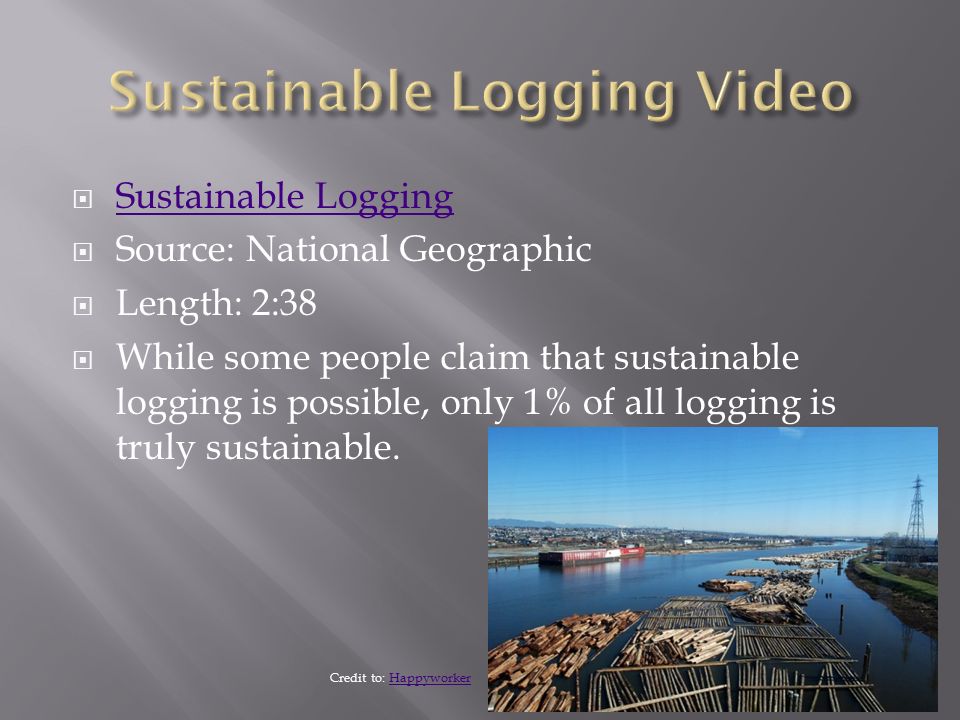  Sustainable Logging Sustainable Logging  Source: National Geographic  Length: 2:38  While some people claim that sustainable logging is possible, only 1% of all logging is truly sustainable.