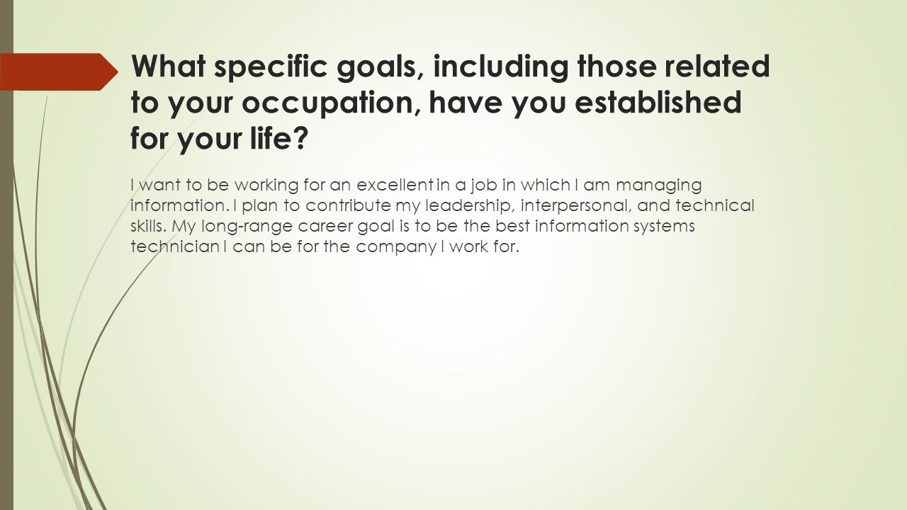 What specific goals, including those related to your occupation, have you established for your life.