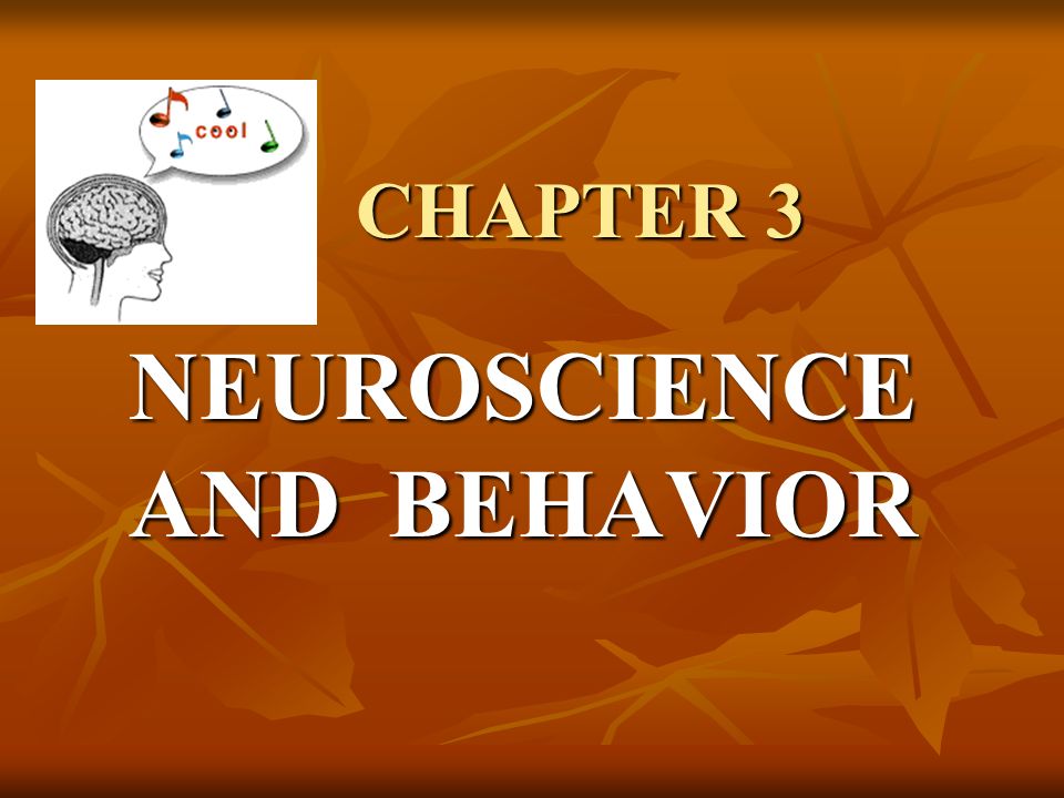 September 18, 2014 Table Of Contents: 24. Chapter 3 Graphic Organizer ...