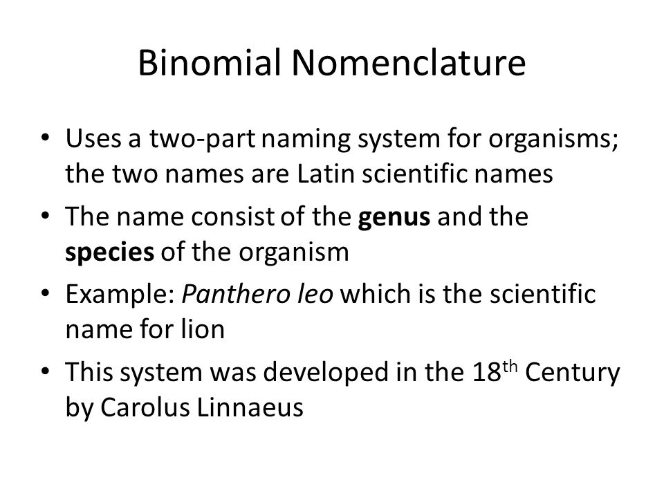 Binomial Nomenclature Uses a two-part naming system for organisms; the two names are Latin scientific names The name consist of the genus and the species of the organism Example: Panthero leo which is the scientific name for lion This system was developed in the 18 th Century by Carolus Linnaeus