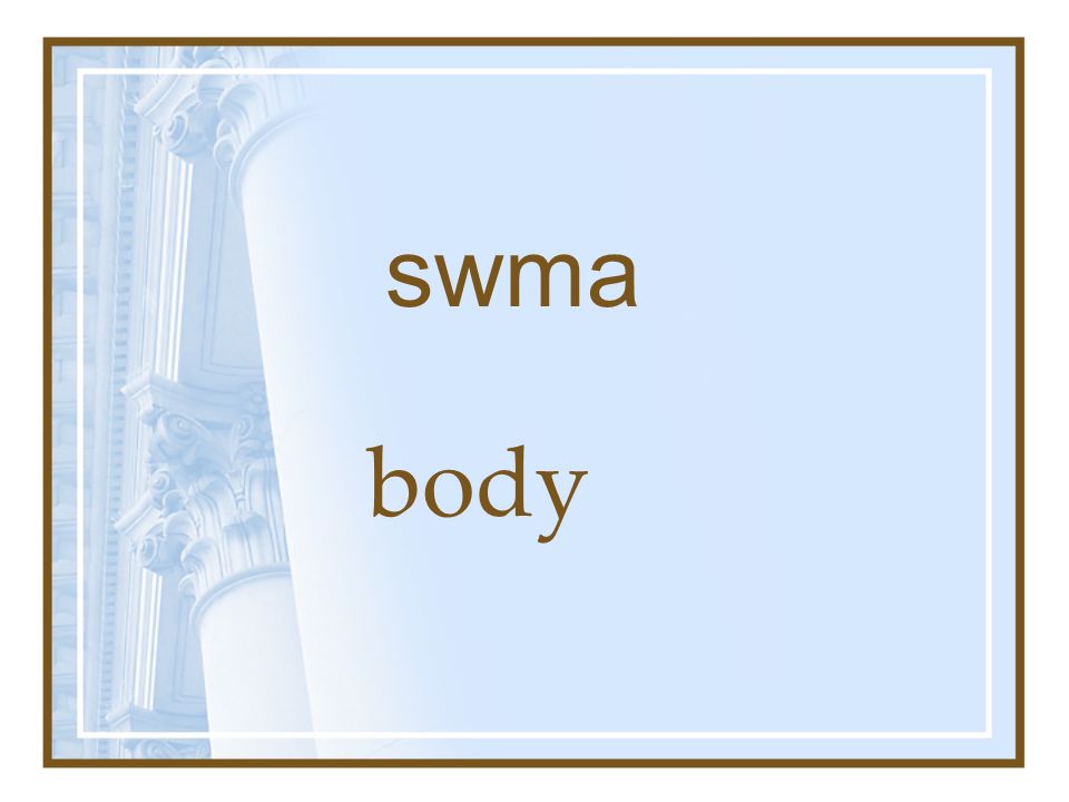 swma body