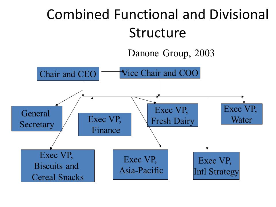 Danone Organizational Chart