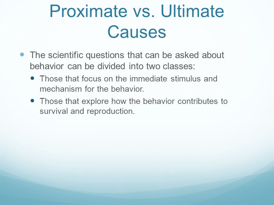 Animal Behavior Chapter 36. What Is Behavior? Behavior is what an animal  does and how it does it. Learning is also considered a behavioral process.  Pioneers. - ppt download