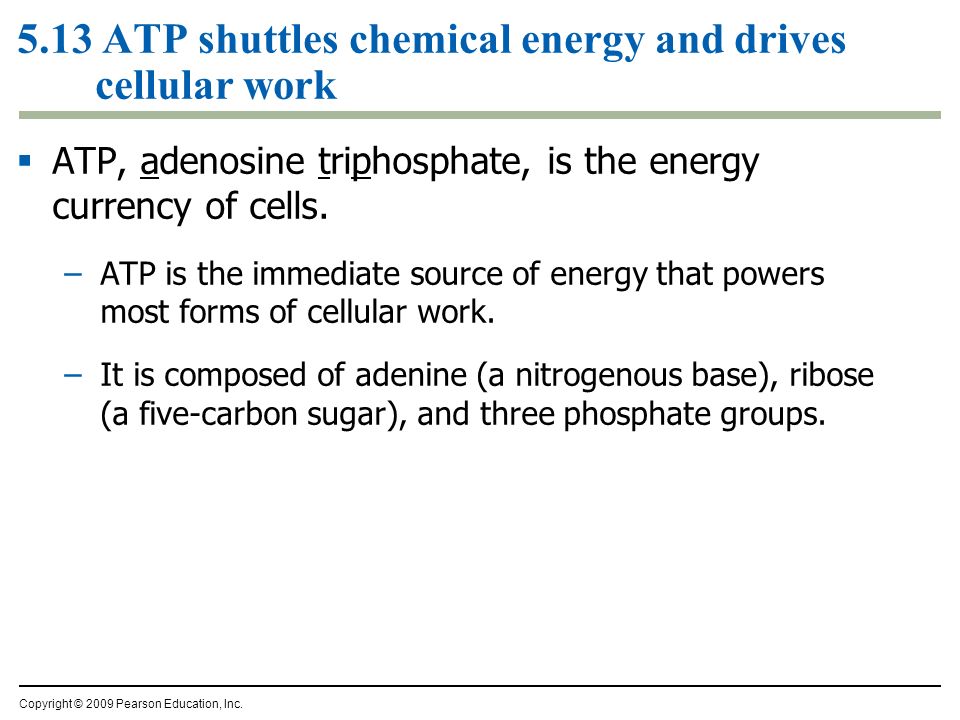  ATP, adenosine triphosphate, is the energy currency of cells.