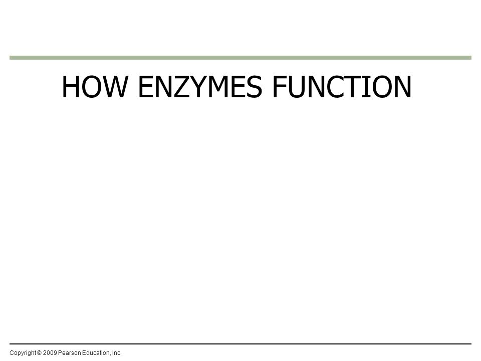 HOW ENZYMES FUNCTION Copyright © 2009 Pearson Education, Inc.