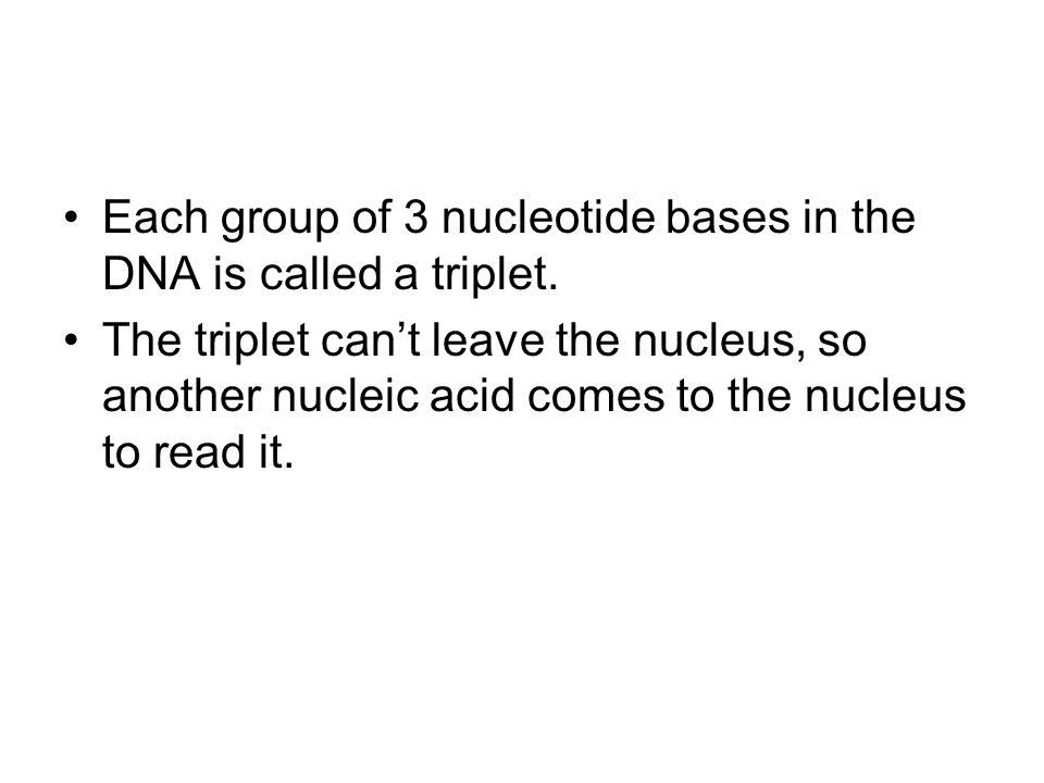 Each group of 3 nucleotide bases in the DNA is called a triplet.