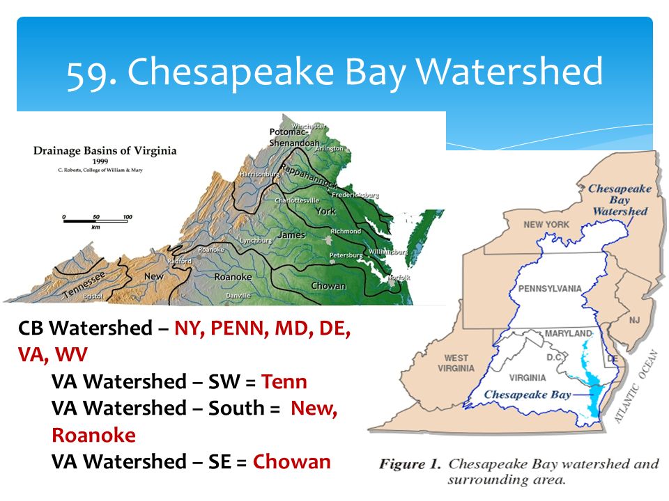 Youngest to Oldest B A C E D 52. Ages of Rocks. - ppt download