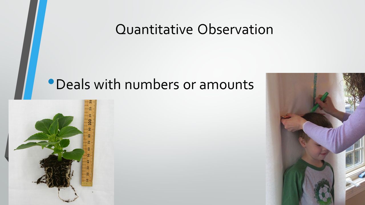 Quantitative Observation Deals with numbers or amounts