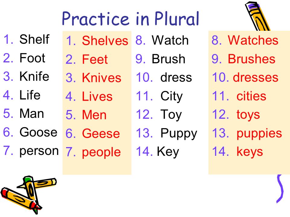 Write the plurals 24 points baby glass. Life plural form. Shelf plural. Shelf plural form. Plural form тема foot.