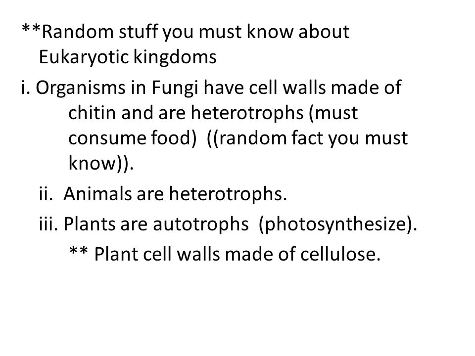 **Random stuff you must know about Eukaryotic kingdoms i.