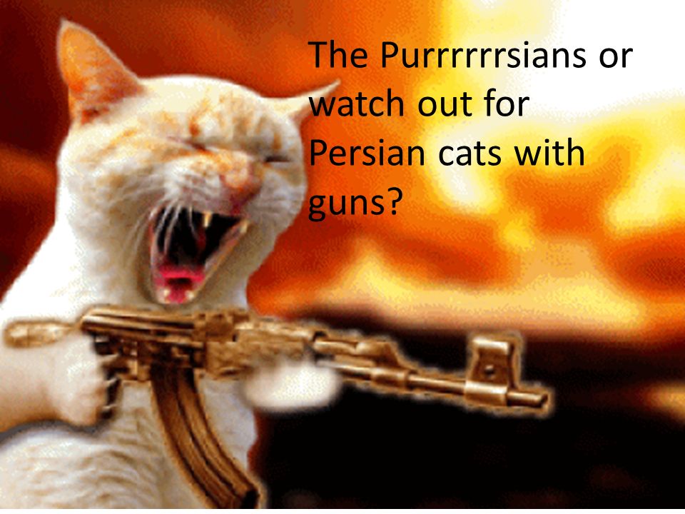 The Purrrrrrsians or watch out for Persian cats with guns