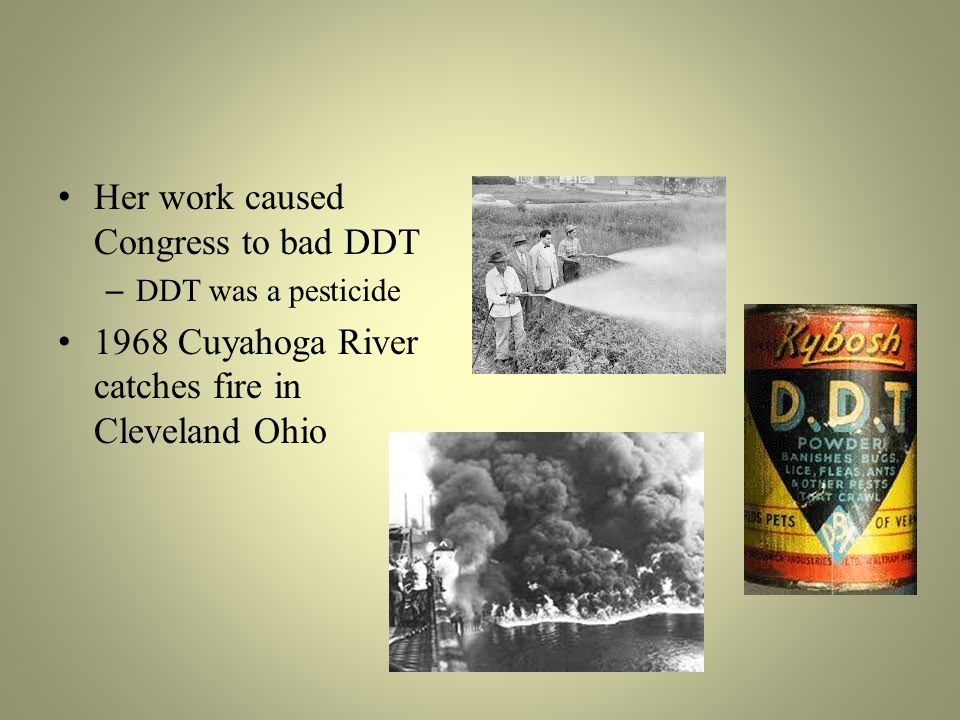 Her work caused Congress to bad DDT – DDT was a pesticide 1968 Cuyahoga River catches fire in Cleveland Ohio