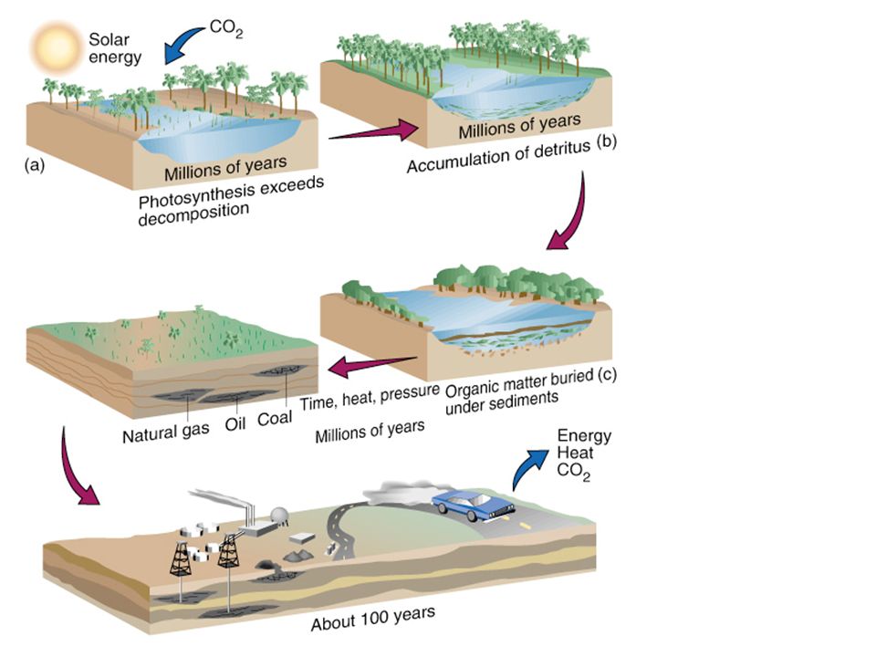 Chapter 18 Energy from Fossil Fuels Environmental Science. - ppt download