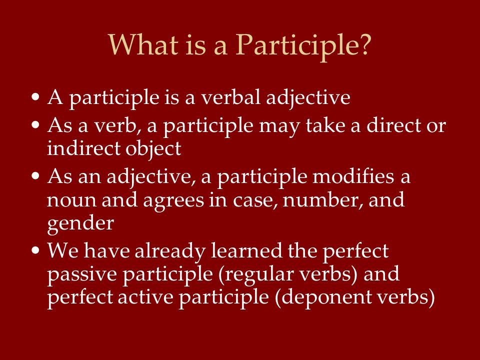 What is a Participle.