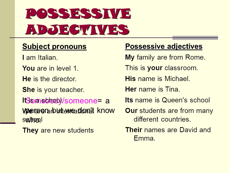 wallpapers Possessive Adjectives Italian possessive adjectives my your his her