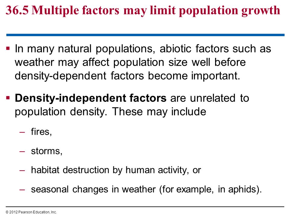  In many natural populations, abiotic factors such as weather may affect population size well before density-dependent factors become important.