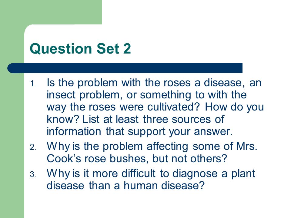 Question Set 2 1.