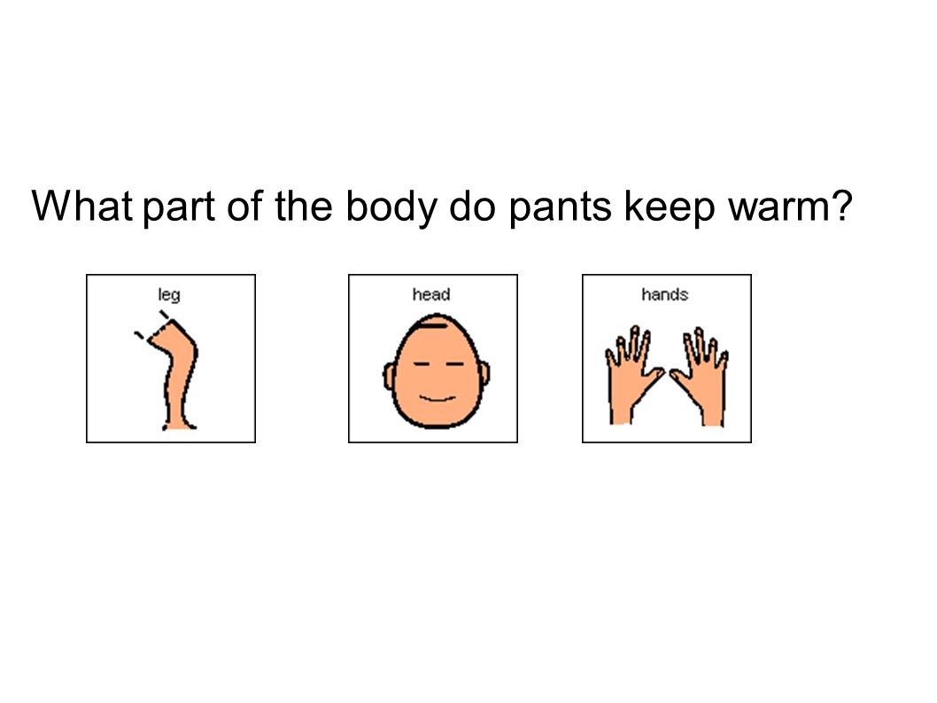 What part of the body do pants keep warm