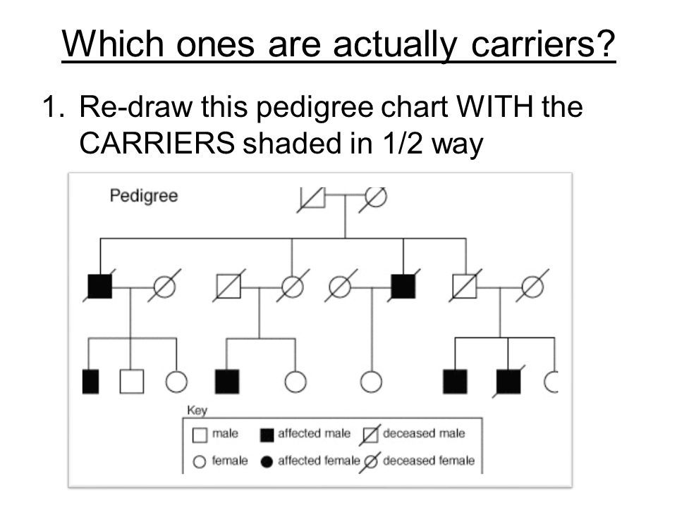 I Am My Own Grandpa Pedigree Chart