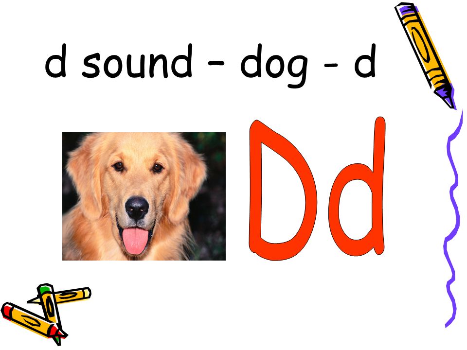 Почему собаки звук. Буква d Dog. Dog звук буква картинка. Short a Sound symbol. Letter DD.