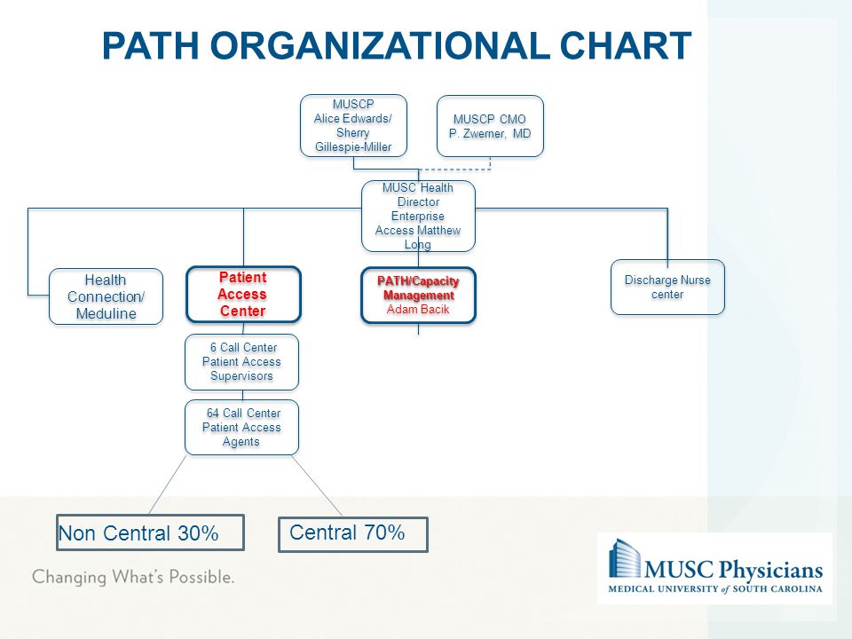 Musc Organizational Chart