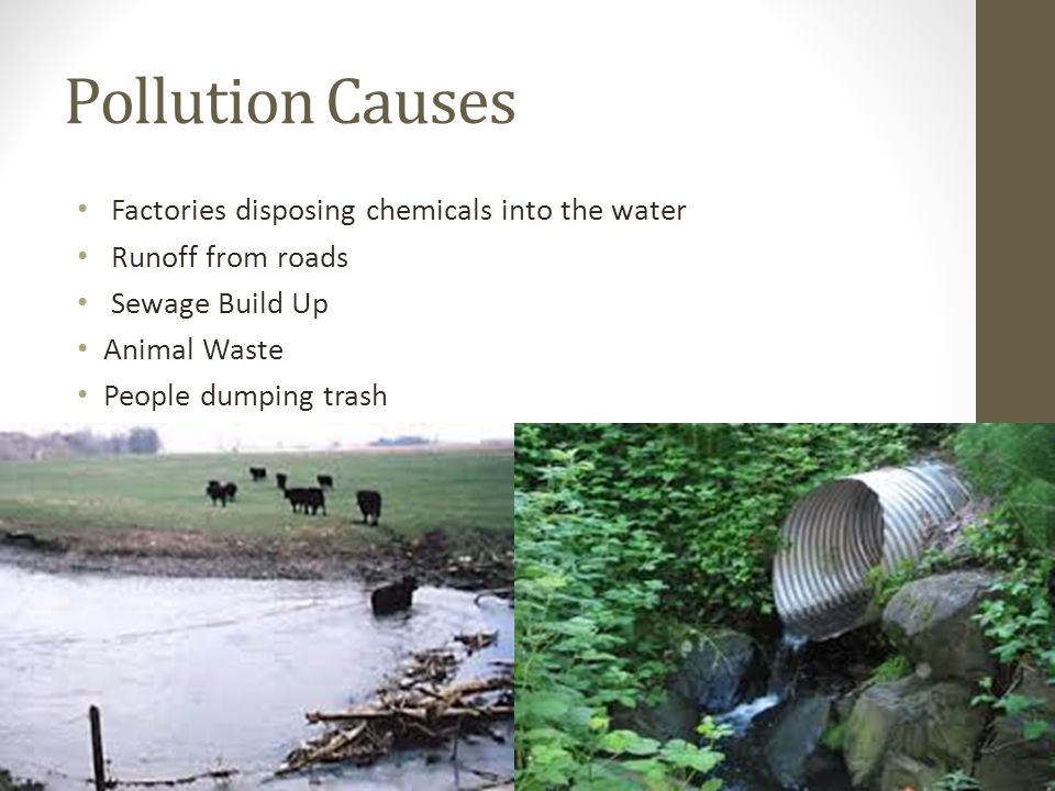 Point & Non-Point Source Water Pollution. Definition & Types Point-source  Pollution – pollution that comes from a single source Nonpoint-source  Pollution. - ppt download