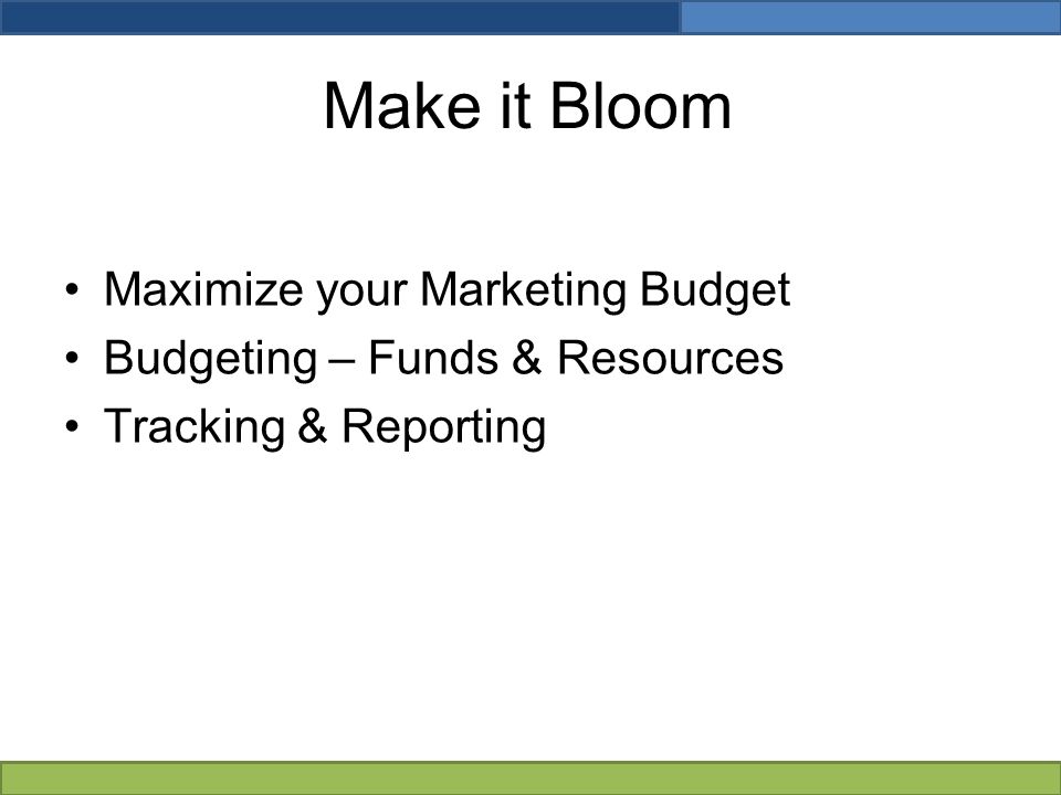 Make it Bloom Maximize your Marketing Budget Budgeting – Funds & Resources Tracking & Reporting