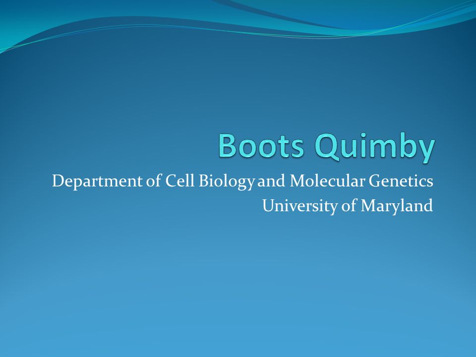 Department of Cell Biology and Molecular Genetics University of Maryland