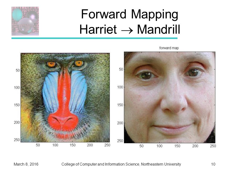 College of Computer and Information Science, Northeastern UniversityMarch 8, Forward Mapping Harriet  Mandrill