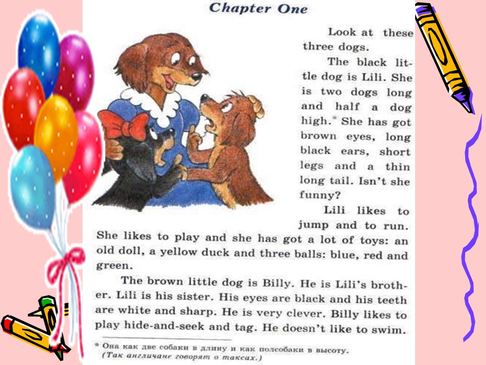 Mike has a small dog перевод. Story about Dogs. Story about Dogs 2 класс. Short stories about Dogs for Kids. Как переводится Dogs.
