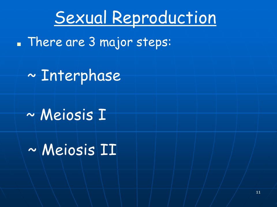 11 ■ There are 3 major steps: ~ Interphase ~ Meiosis I ~ Meiosis II Sexual Reproduction