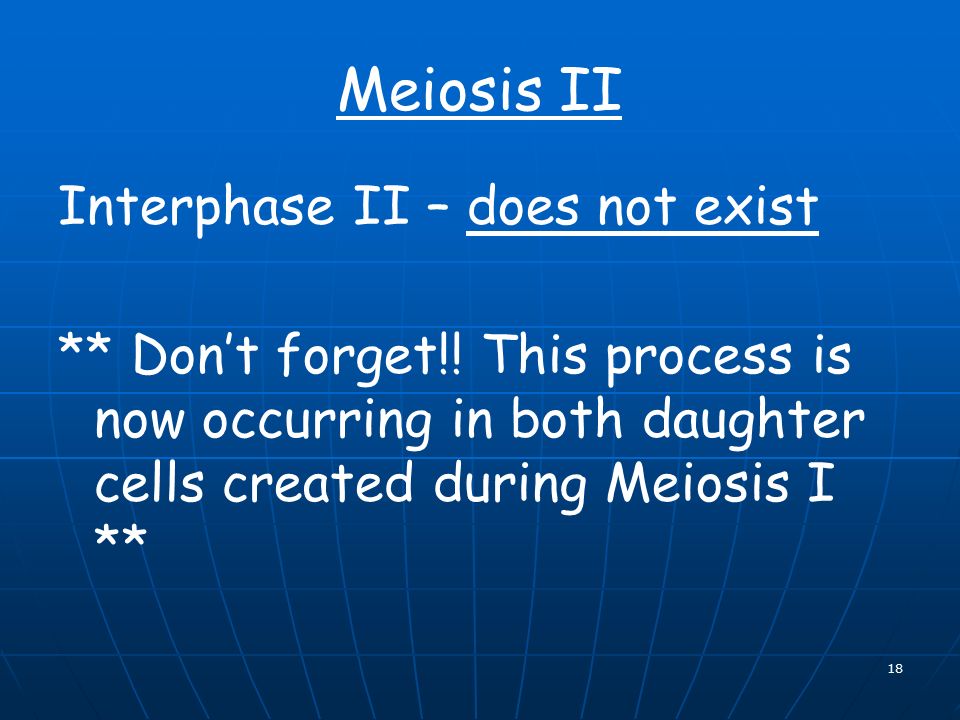 18 Meiosis II Interphase II – does not exist ** Don’t forget!.