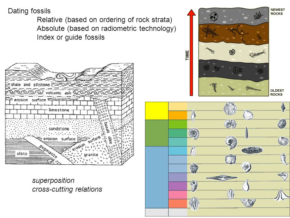 Relative dating of rock strata worksheet