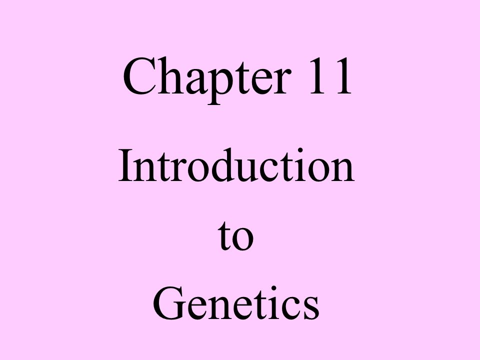 Chapter 11 Introduction To Genetics The Work Of Gregor Mendel I Gregor