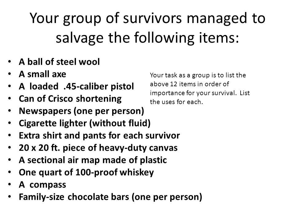 picture A Ball Of Steel Wool Survival th literature finish survival activity