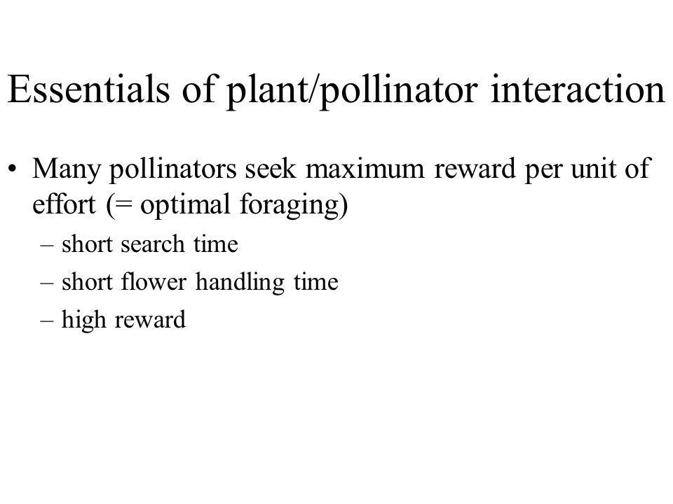 Essentials of plant/pollinator interaction Many pollinators seek maximum reward per unit of effort (= optimal foraging) –short search time –short flower handling time –high reward