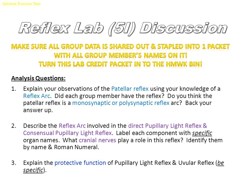 Week 3 1 19 1 22 Warm Up Tues 1 19 Game Of Telephone Pick Up Action Potential Notes Agenda 1 Finish Reflex Lab And Abstract Discussion 2 Begin Ppt Download