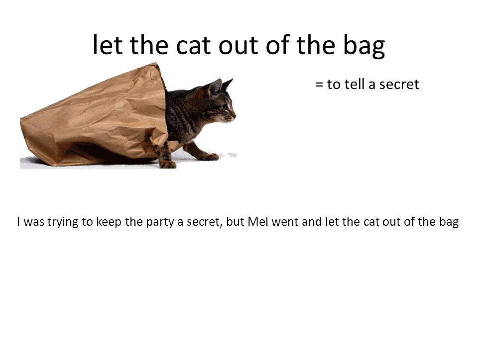 Animal idioms. let the cat out of the bag = to tell a secret I was trying  to keep the party a secret, but Mel went and let the cat out of