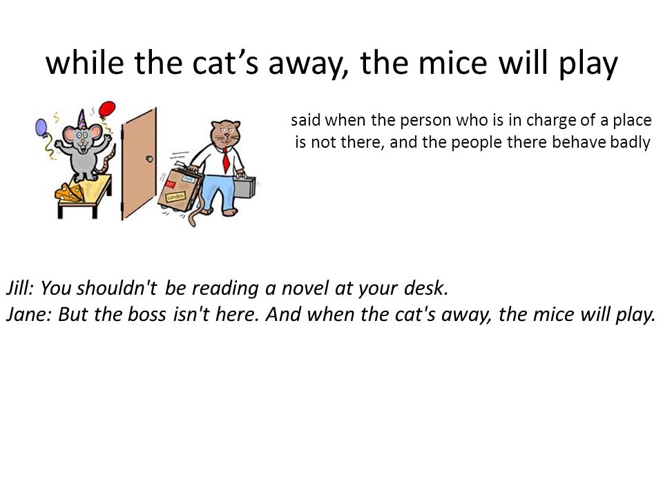 Animal idioms. let the cat out of the bag = to tell a secret I was trying to keep the party a secret, but Mel went and let the cat out of