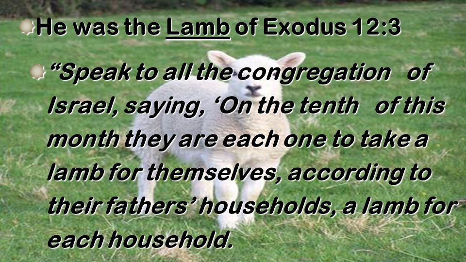 He was the Lamb of Exodus 12:3 Speak to all the congregation of Israel, saying, ‘On the tenth of this month they are each one to take a lamb for themselves, according to their fathers’ households, a lamb for each household.