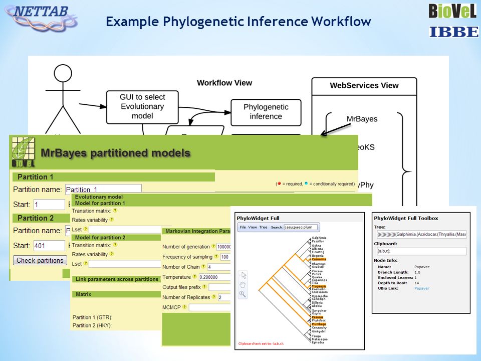 Example Phylogenetic Inference Workflow