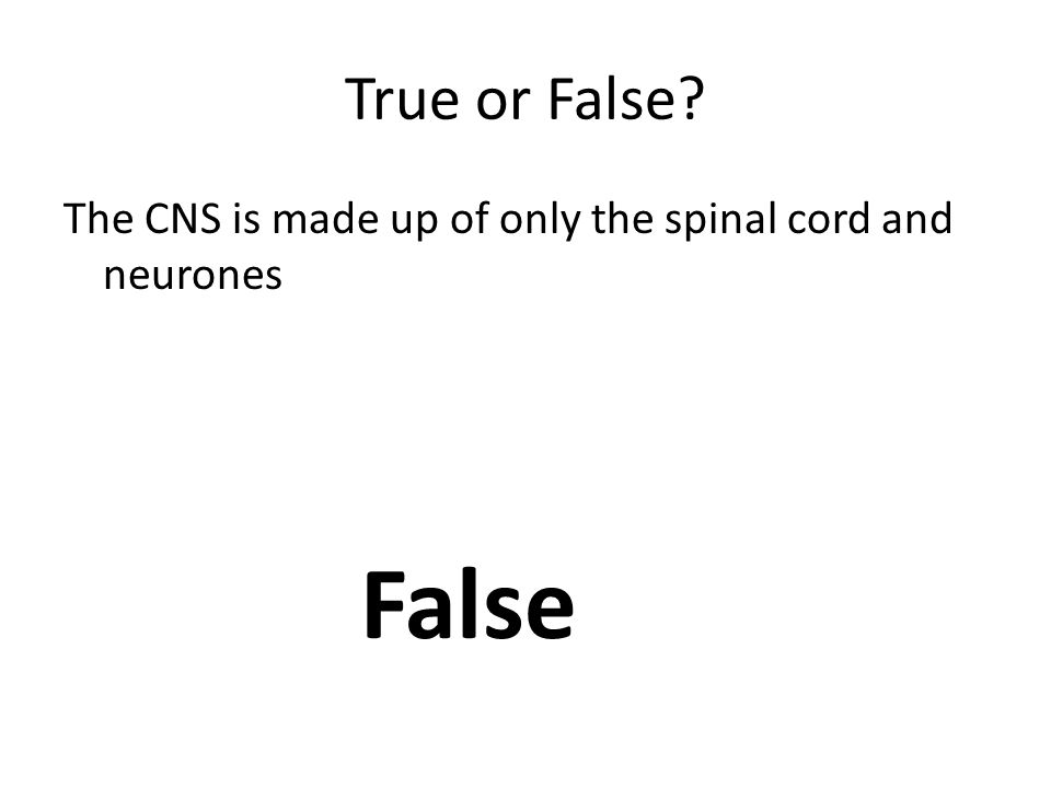 True or False The CNS is made up of only the spinal cord and neurones False