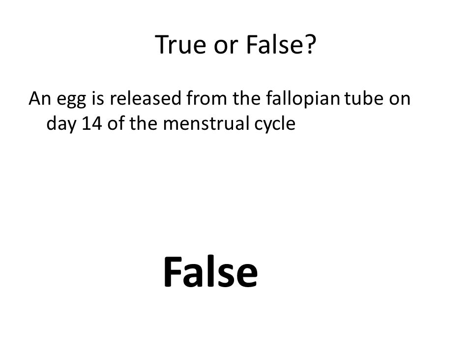 True or False An egg is released from the fallopian tube on day 14 of the menstrual cycle False