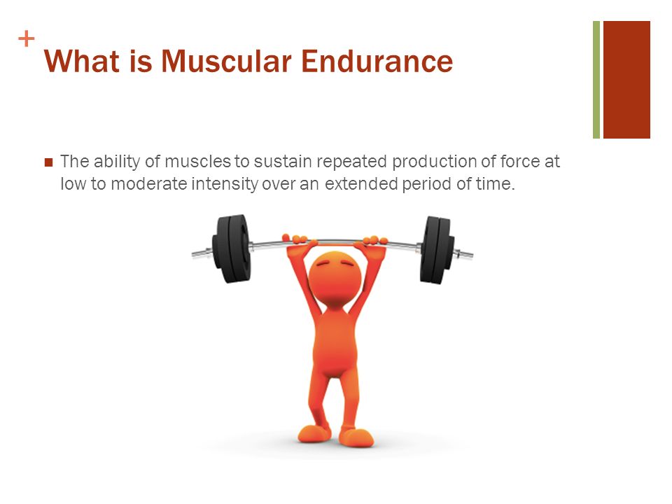 Muscular Endurance and Strength "He who would learn to fly one day must first learn to stand and and run and climb and dance; one cannot fly into. - ppt download